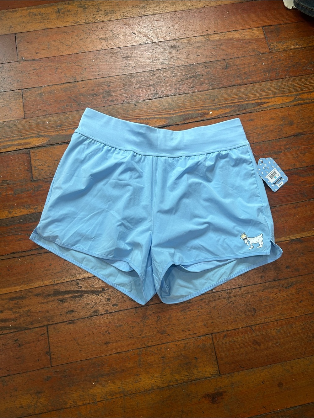 Goat USA Sky Blue Women's Athletic Shorts With Liner